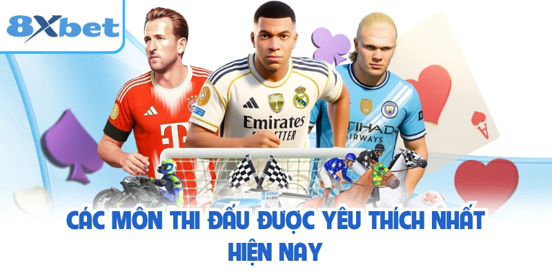 Các môn thi đấu được yêu thích nhất hiện nay