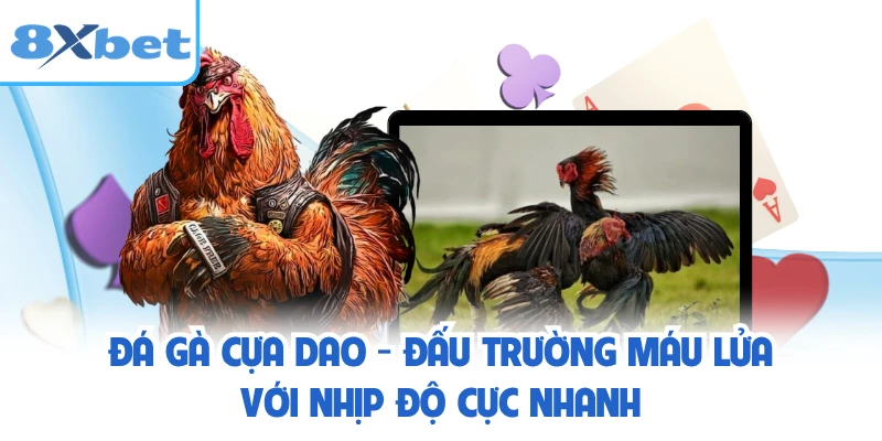 Đá Gà Cựa Dao - Đấu Trường Máu Lửa Với Nhịp Độ Cực Nhanh