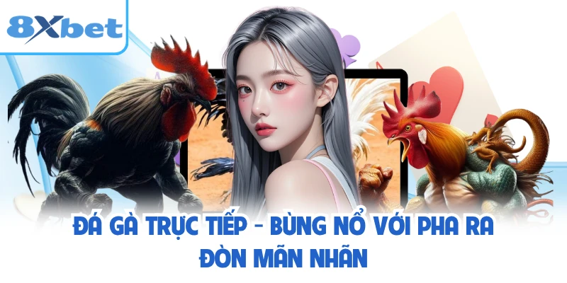Đá Gà Trực Tiếp - Bùng Nổ Với Pha Ra Đòn Mãn Nhãn