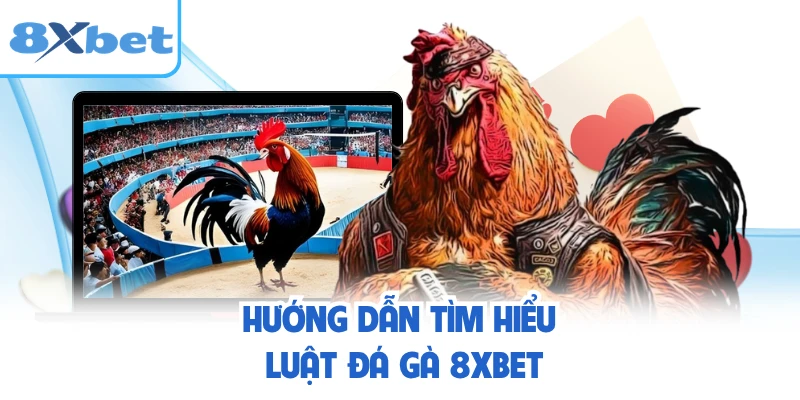 Hướng dẫn tìm hiểu luật đá gà 8XBET