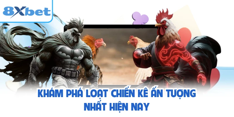 Khám phá loạt chiến kê ấn tượng nhất hiện nay