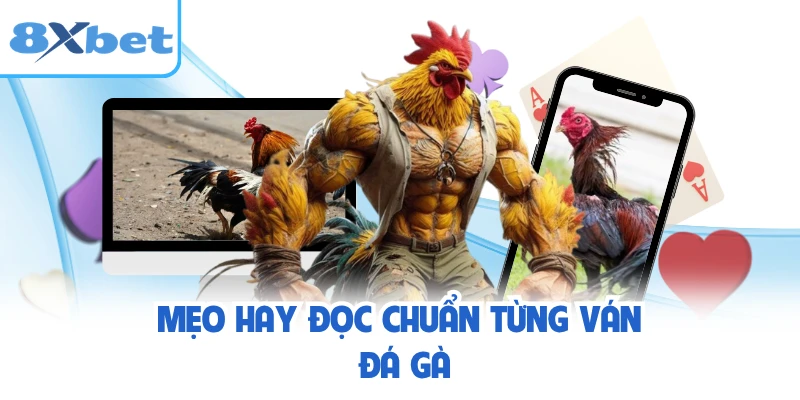 Mẹo hay đọc chuẩn từng ván đá gà